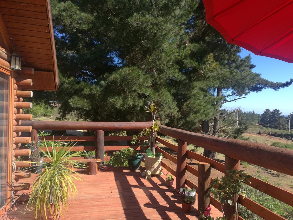 Alojamento Con Piscina Privada, Parcela De Campo.