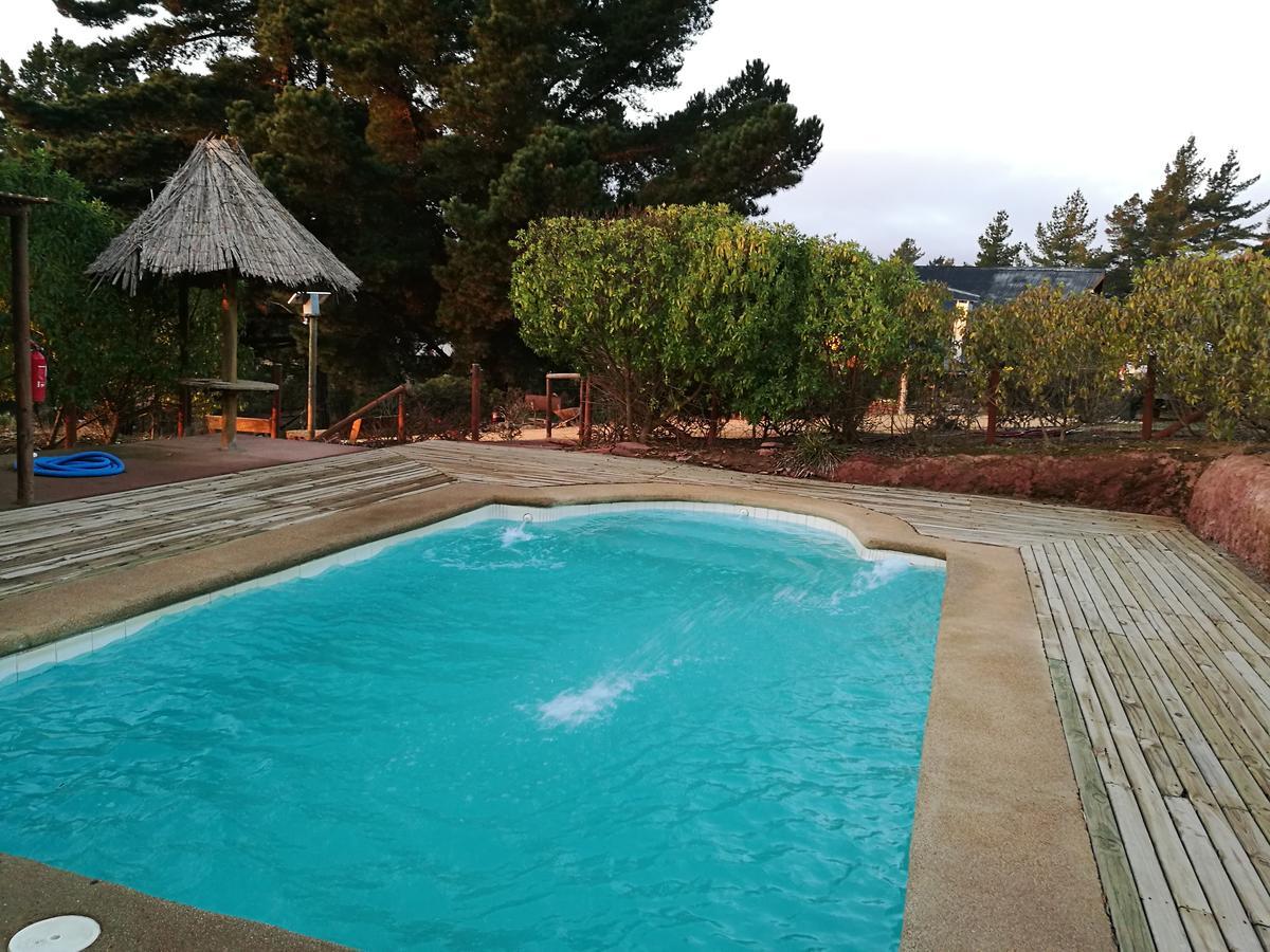 Alojamento Con Piscina Privada, Parcela De Campo. *